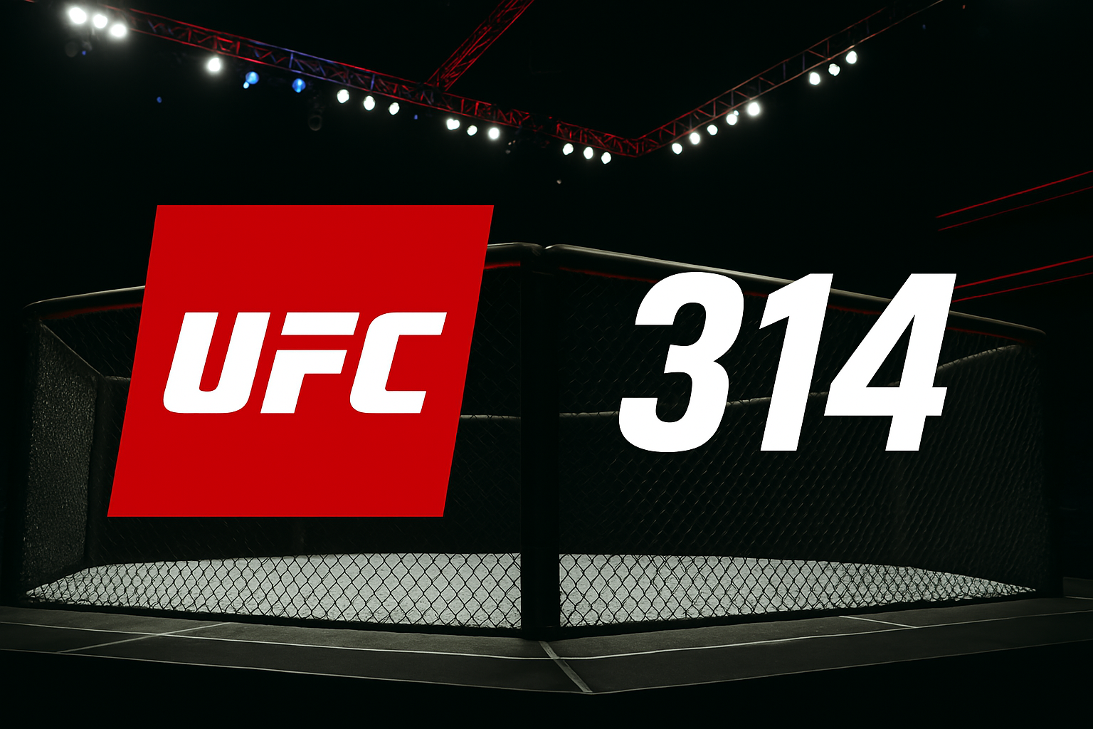 UFC 314